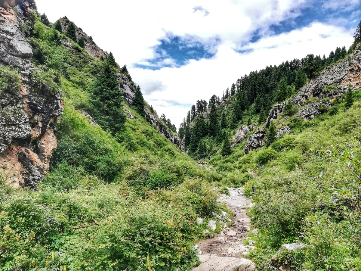 纳摩大峡谷白龙江之源