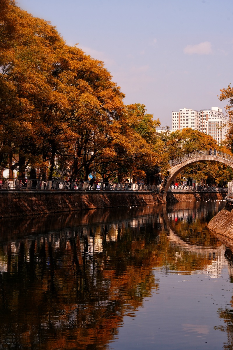 秋冬昆明大观河畔