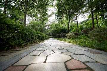 _DSC0919