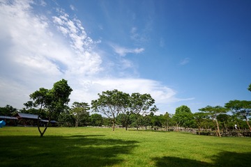 _DSC0844_1