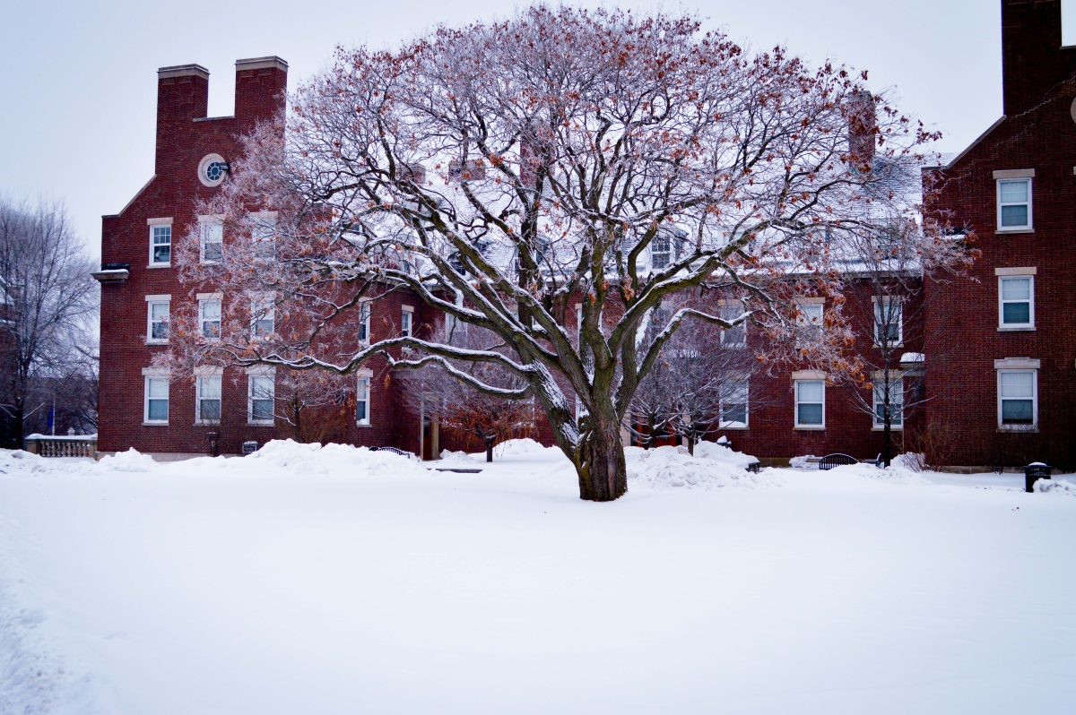 罗切斯特大学校园的冬天