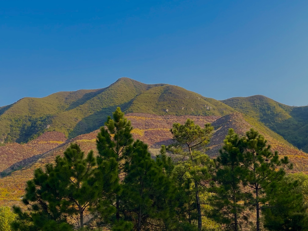 小山坡 - ye0jian - 图虫