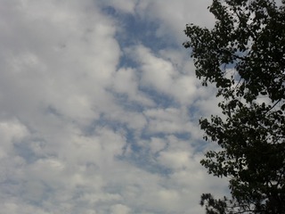 C57AF663-B0A5-43B3-AD7A-706BF8514D5E/L0/001