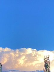 7EEDE7A2-7293-49C7-8EA1-5822600EC562/L0/001