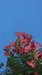 D706FE78-C8EF-4494-B4D5-D5513EF37F9F/L0/001