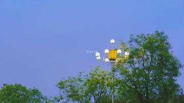 B20AE67B-12E7-4B95-B233-7EC97218E0A1/L0/001
