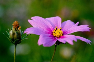 55F83E78-8CF5-4BC4-8F1C-ADB970DF92C8/L0/001