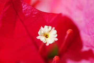 B567243A-7B73-453D-A792-28D54E19E1E5/L0/001