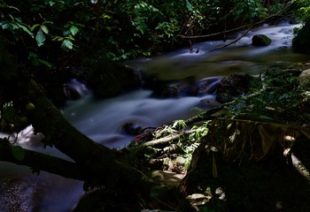 9F810CB4-08E4-4D54-B4FC-2BC2412E8B3C/L0/001