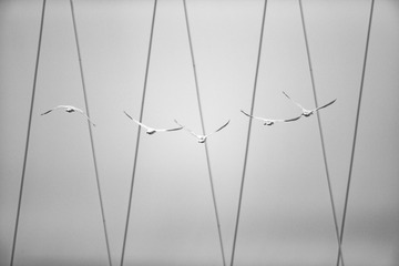 17F3AE02-50D7-46FD-950A-22E1C9CD68B7/L0/001