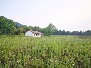 154575
