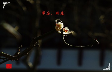 795208