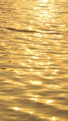 6C0D0528-676D-4E4F-90FD-A3245F2A5B1F/L0/001