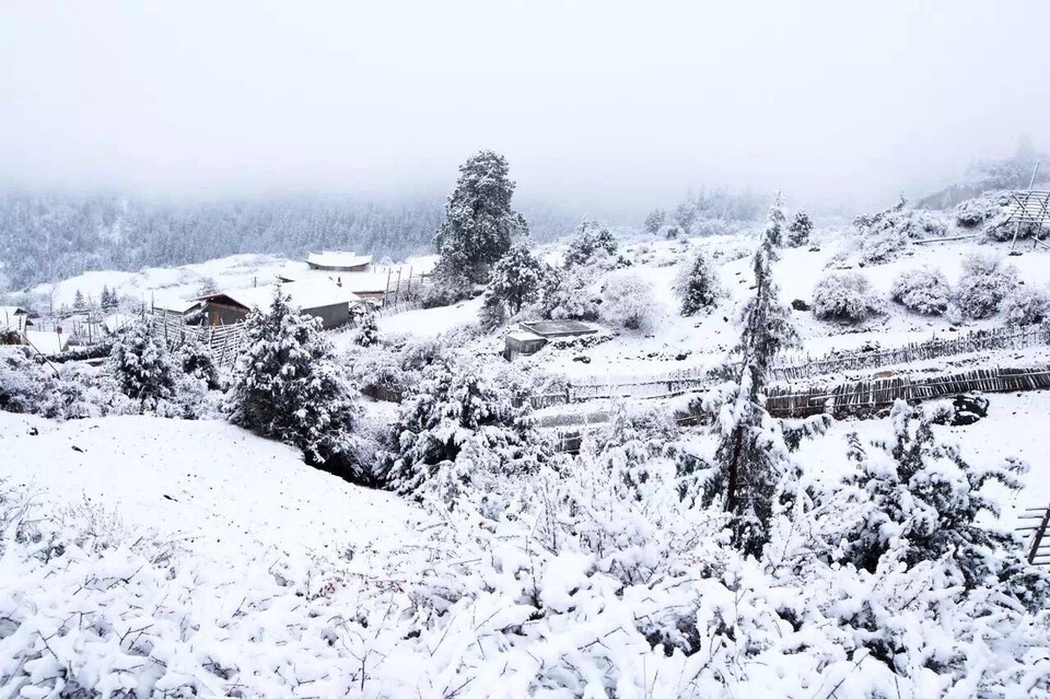 扎尕那雪景