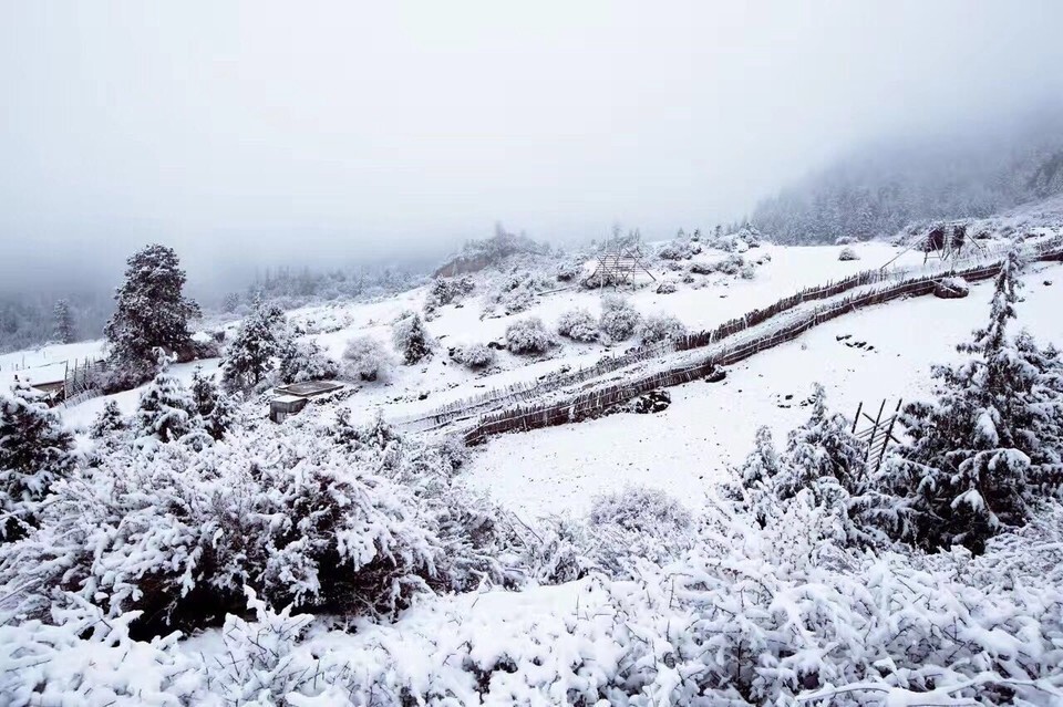 扎尕那雪景