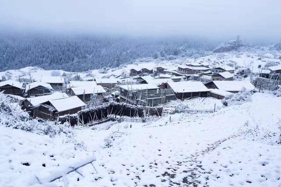 扎尕那雪景