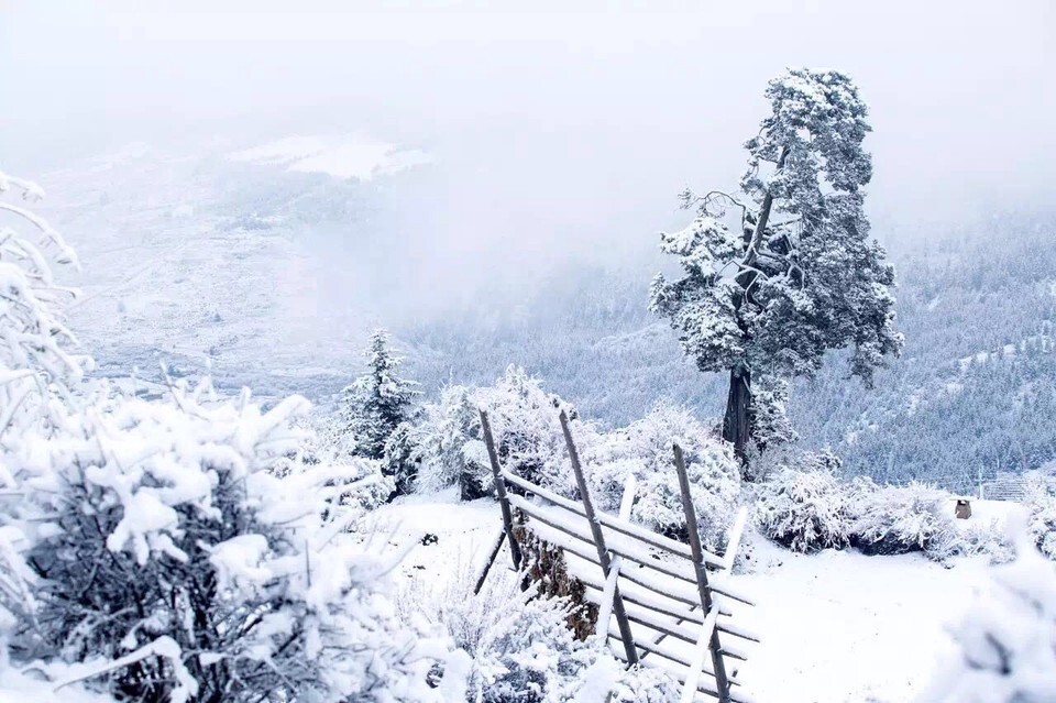扎尕那雪景