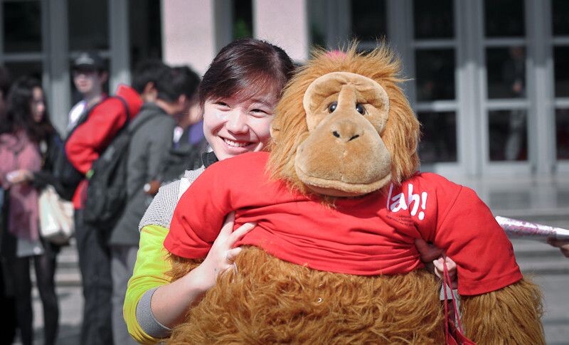 美女与野兽<br />
猩猩表情比较囧