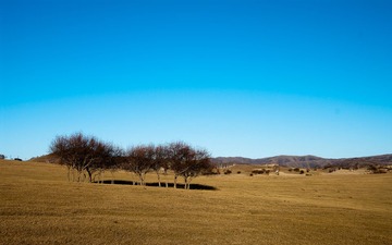 IMGP2508-1