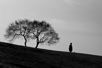 IMGP2560-1