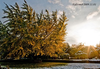 IMGP2940-1