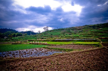 IMGP4139-1
