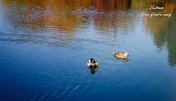 IMG_0057-2