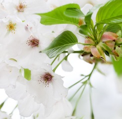 IMG_1204-2