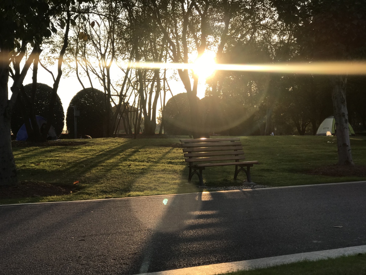 公园的长椅,阳光洒落