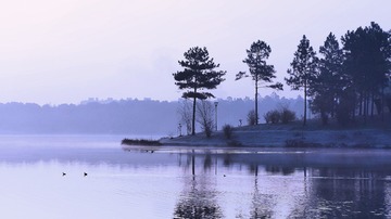 P1010010_HZP
