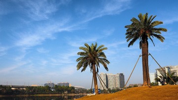 P1010080_HZP
