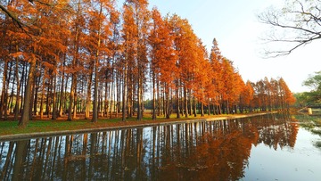 PC120014_HZP