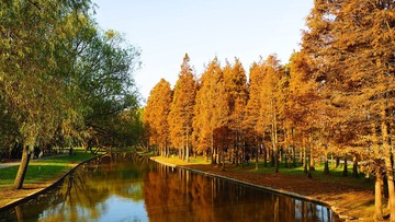 PC120037_HZP