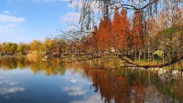 PC080145_HZP
