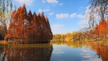 PC080146_HZP