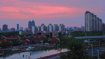 P9130019_HZP