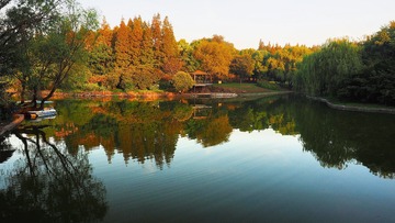 PA110007_HZP