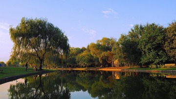 PA110011_HZP