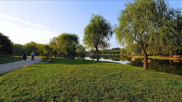 PA110016_HZP