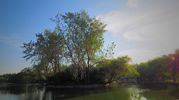 PA110026_HZP