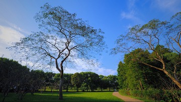PA110032_HZP