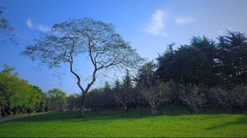 PA110036_HZP