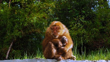 P5230041_HZP