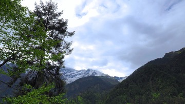 P5230059_HZP