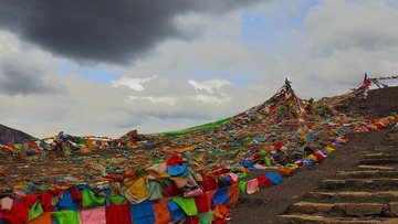 P5240234_HZP