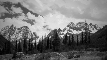 P5250323_HZP