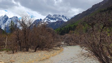 P5250330_HZP