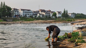 P4300103_HZP