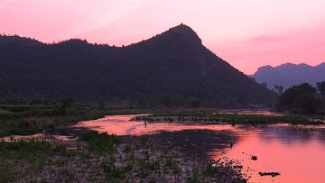 P4300143_HZP