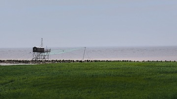 P1010038_HZP